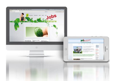 webdesign mit wordpress oder joomla Pro Spaichingen und Jobs for Nature